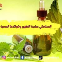 السنامكي عشبة التطهير وفوائدها الصحية العظيمة