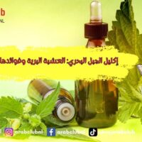 إكليل الجبل البحري العشبة البرية وفوائدها المذهلة