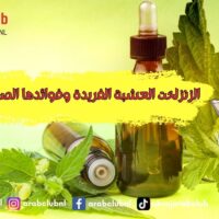 الزنزلخت العشبة الفريدة وفوائدها الصحية المذهلة