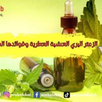 الزعتر البري العشبة العطرية وفوائدها الصحية المذهلة